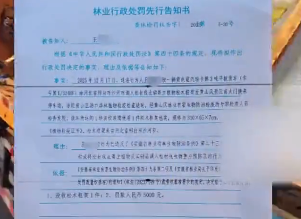 ����ɽ����&nbsp;�򼸸���ľ��ܱ���5000